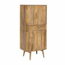 Armoire en bois de manguier Aléna
