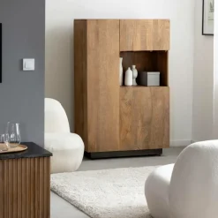 Armoire en bois de manguier et métal Isil