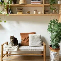 Banc en bois de teck et tissu Pénélope